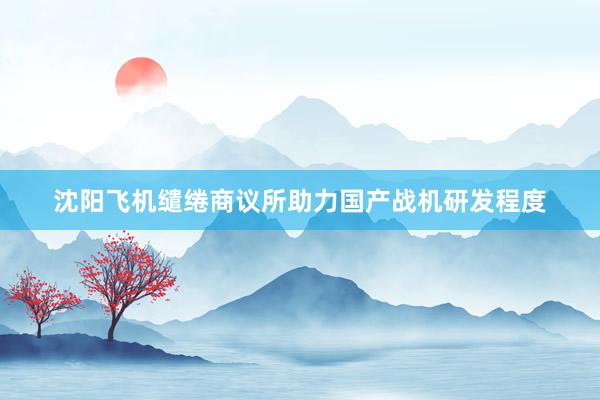 沈阳飞机缱绻商议所助力国产战机研发程度
