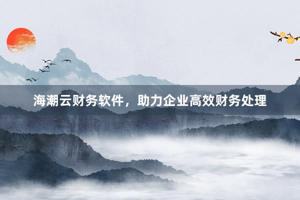 海潮云财务软件，助力企业高效财务处理